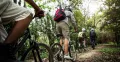 Wycieczki rowerowe po Polsce dla aktywnych